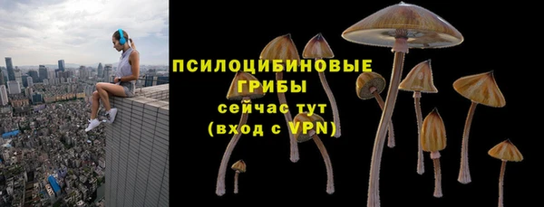 молекула духа Алзамай