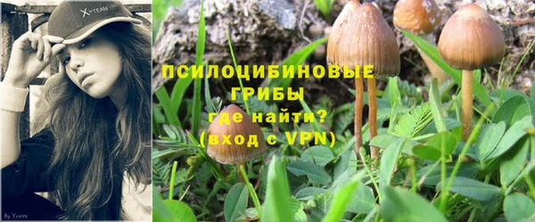таблы Алексин