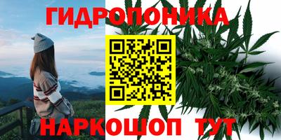 гашишное масло Анжеро-Судженск