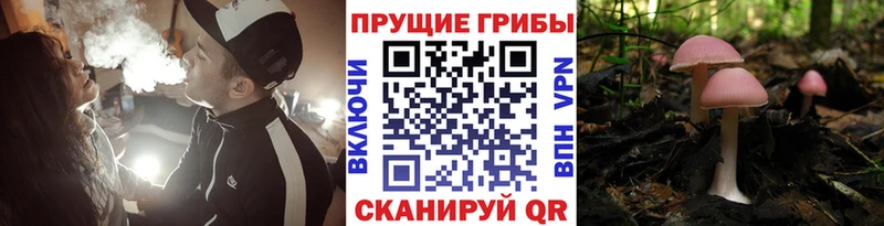 кракен ссылки  Борзя  Галлюциногенные грибы мухоморы 