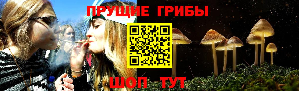 Галлюциногенные грибы прущие грибы  Галлюциногенные грибы Psilocybine cubensis  Вход с VPN  Борзя 